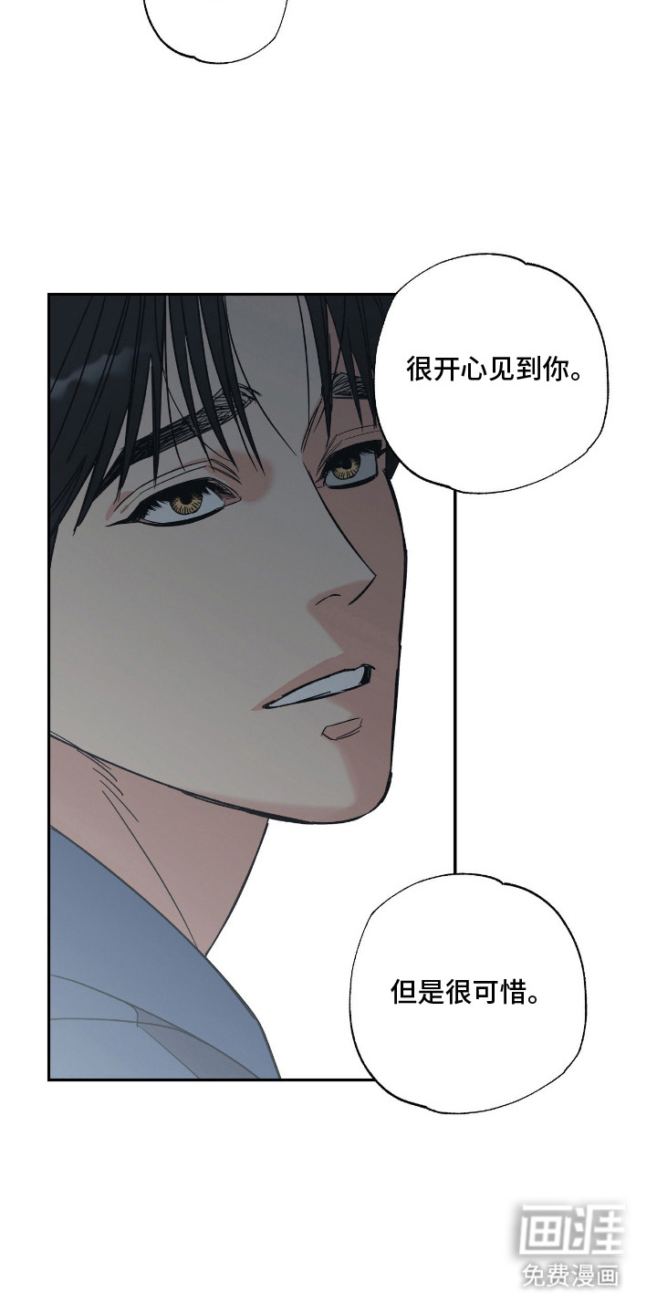 猫大爷和我漫画-图3