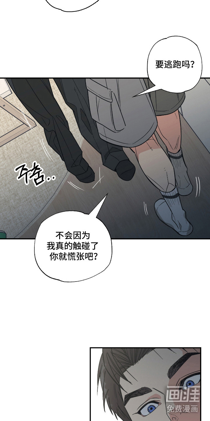 猫大爷和我漫画-图10