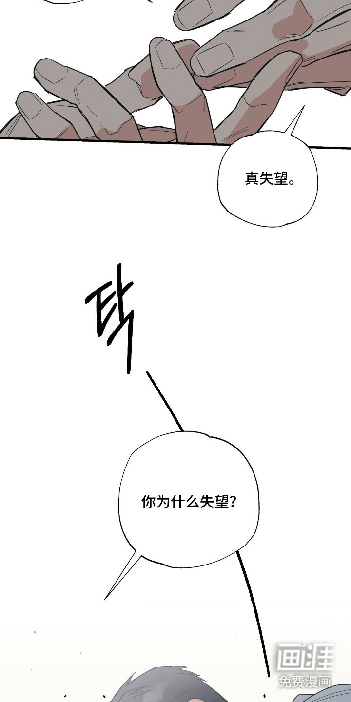 猫大爷和我漫画-图11