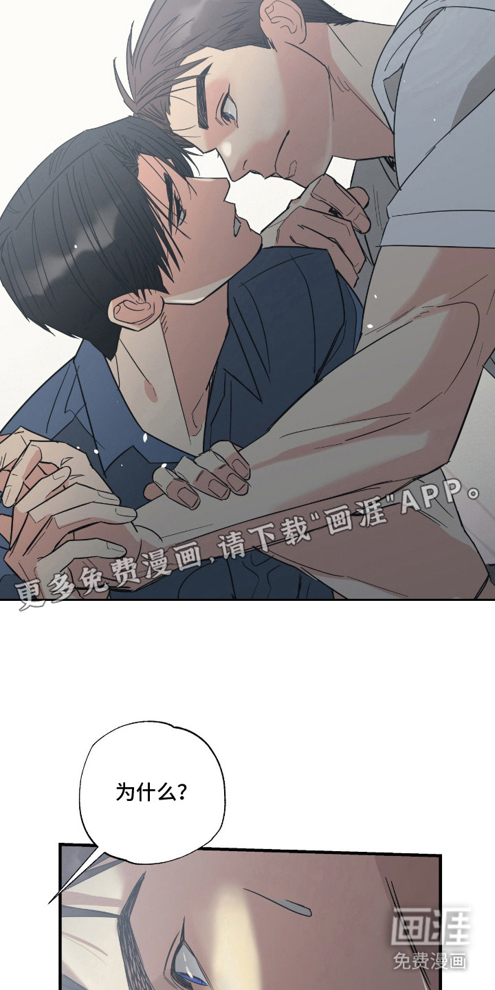 猫大爷和我漫画-图12