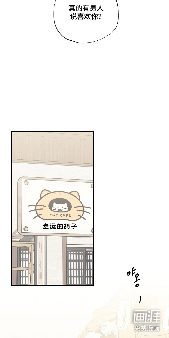 猫大爷和我漫画-图17