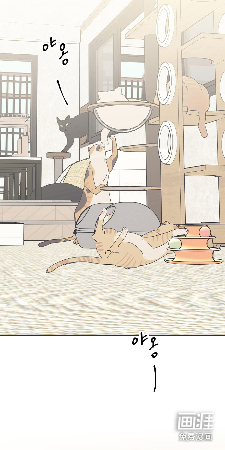 猫大爷和我漫画-图18
