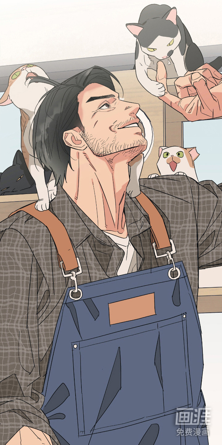 猫大爷和我漫画-图19