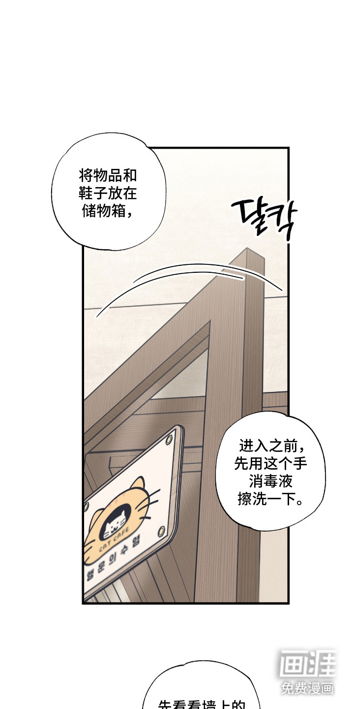 猫大爷和我漫画-图0