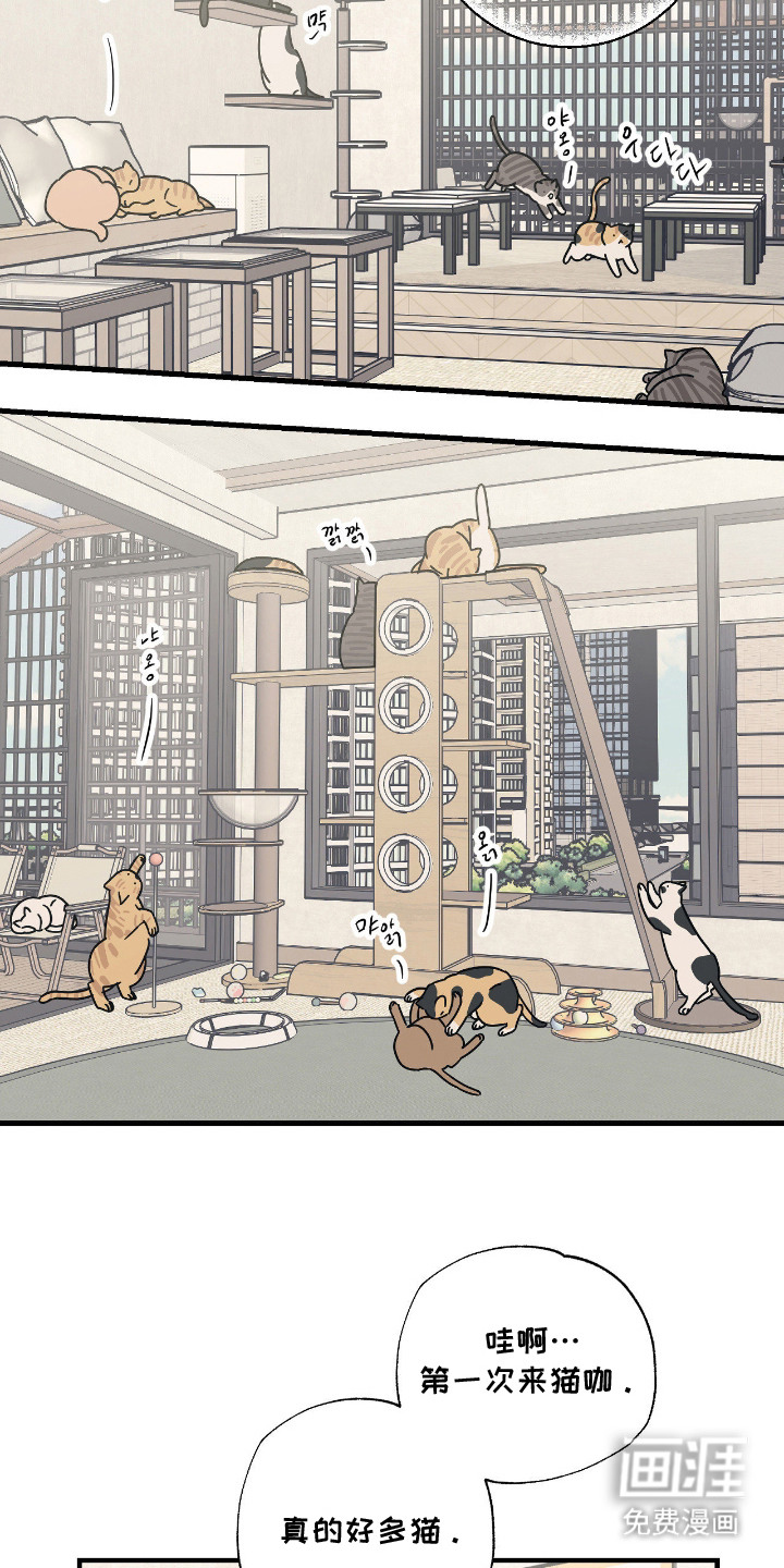 猫大爷和我漫画-图2