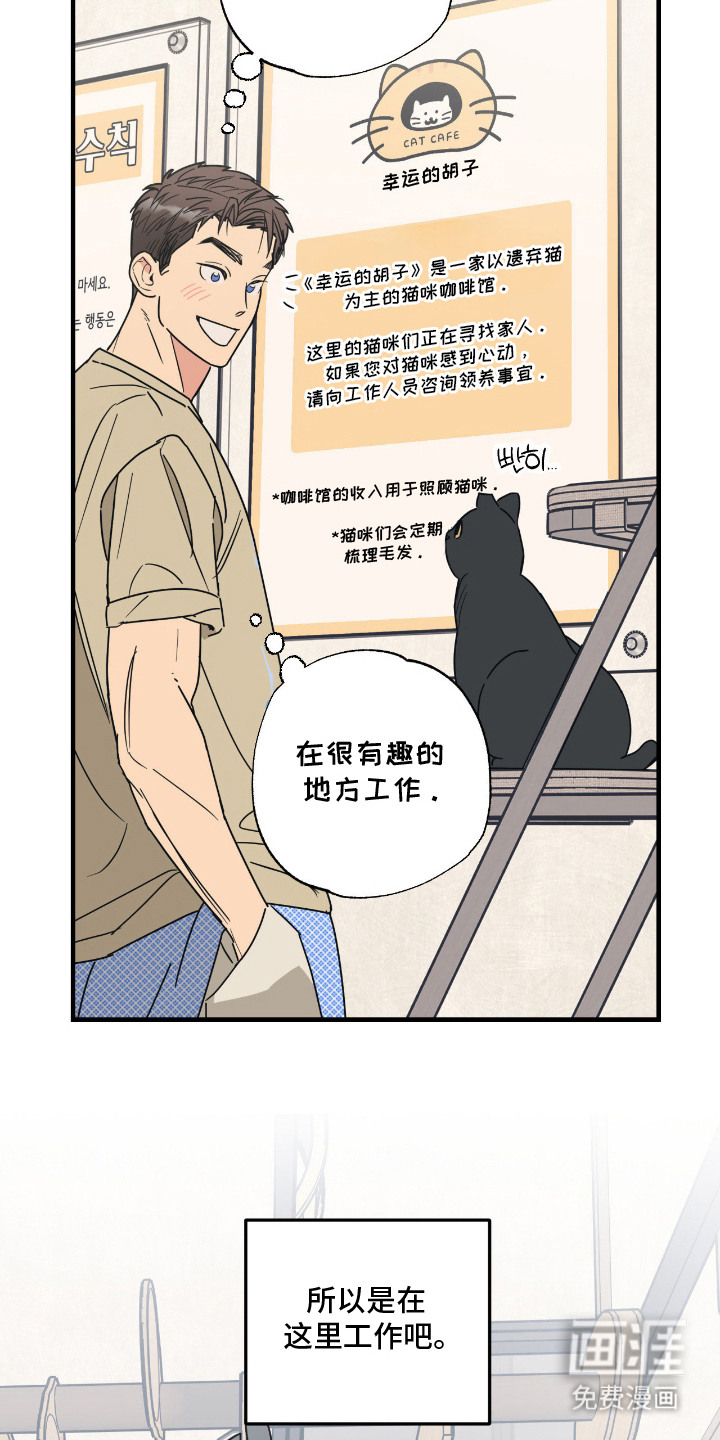 猫大爷和我漫画-图3