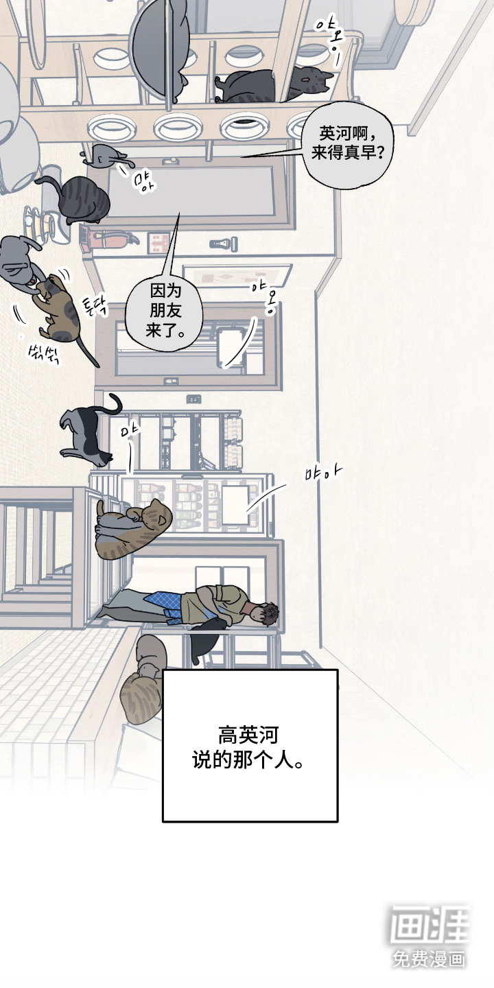 猫大爷和我漫画-图4