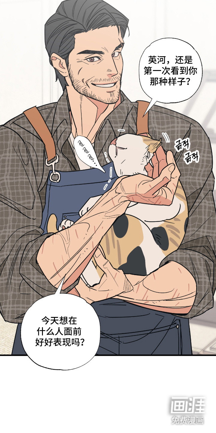 猫大爷和我漫画-图8