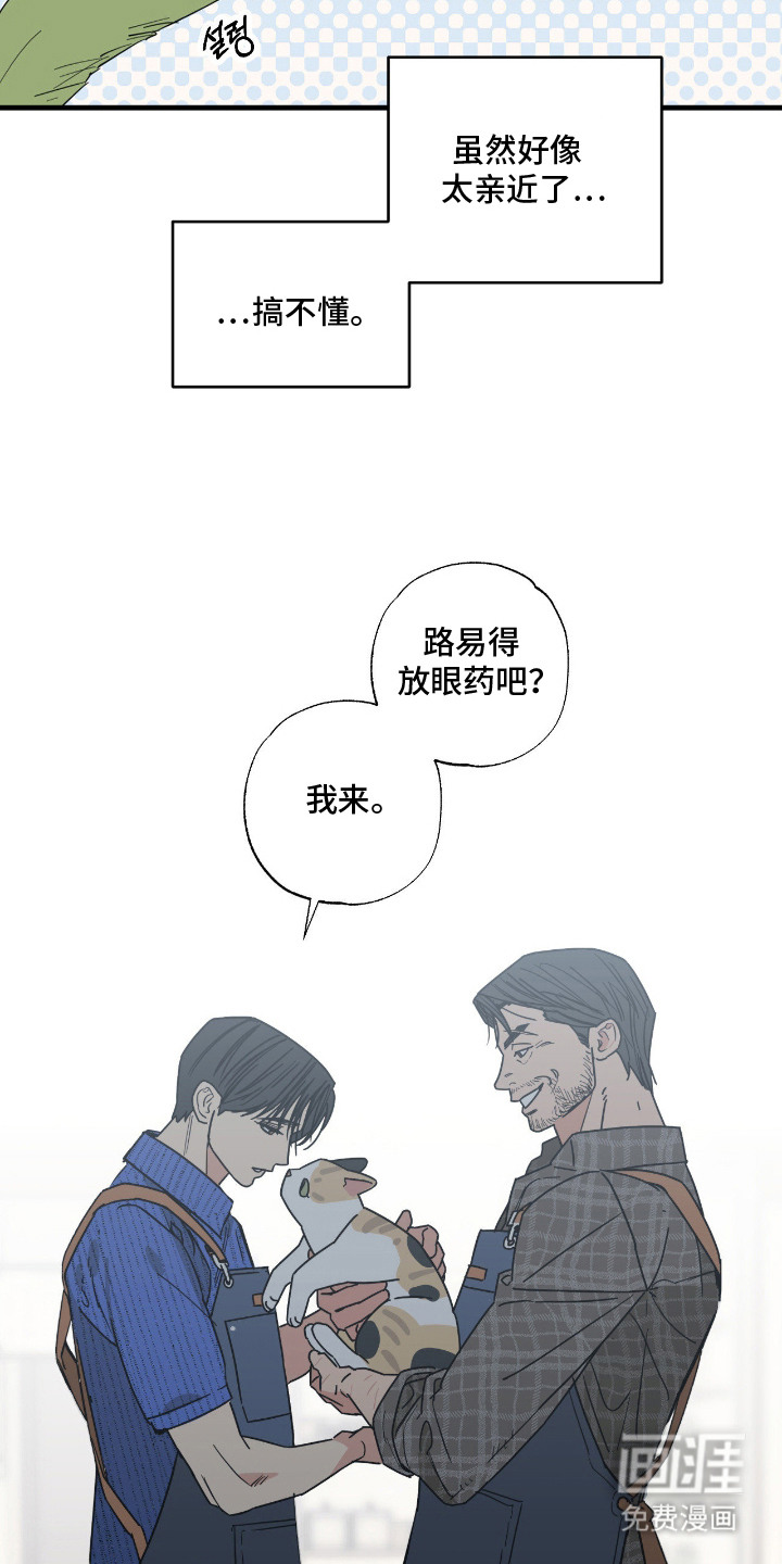 猫大爷和我漫画-图10