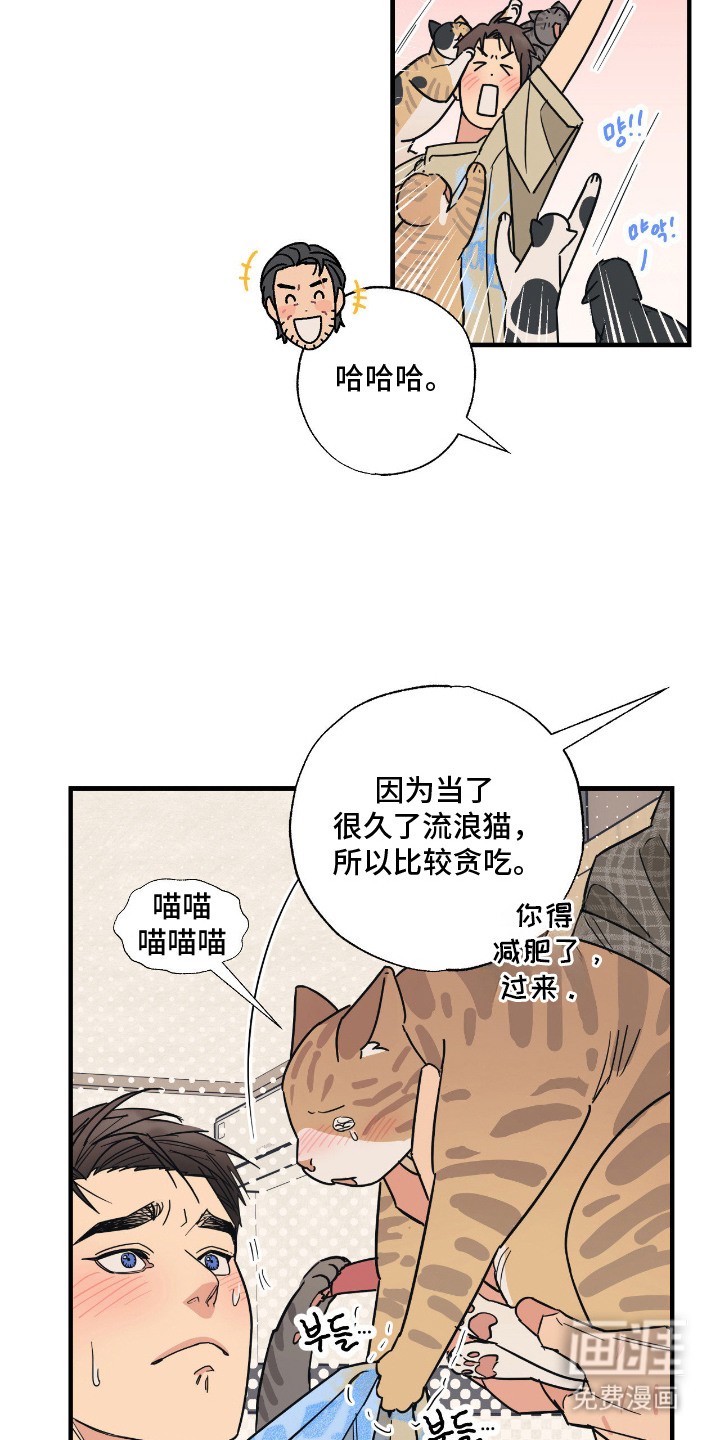 猫大爷和我漫画-图18