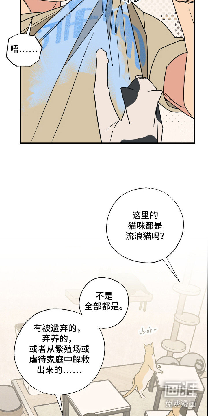 猫大爷和我漫画-图19