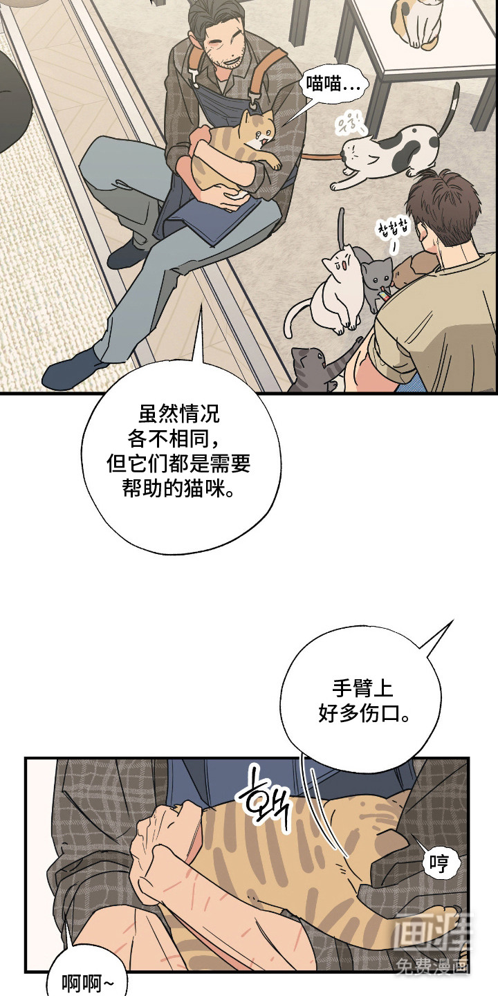猫大爷和我漫画-图20