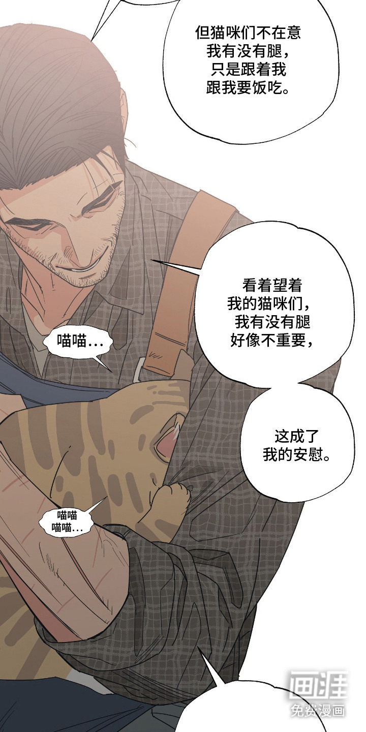 猫大爷和我漫画-图22