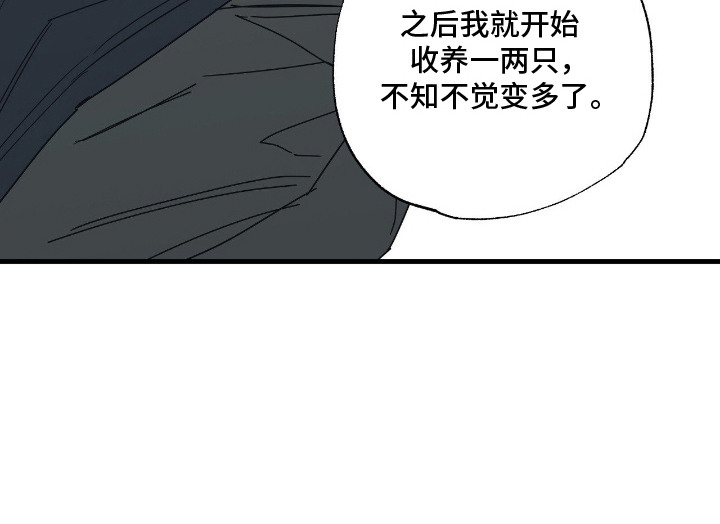 猫大爷和我漫画-图23