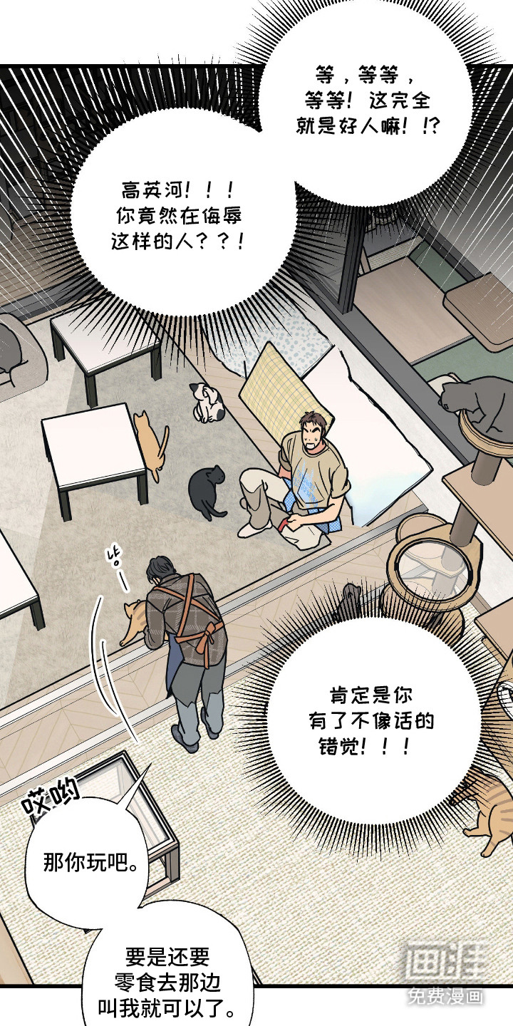 猫大爷和我漫画-图1