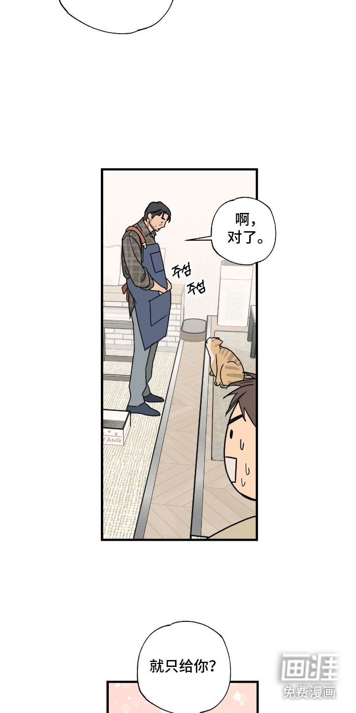 猫大爷和我漫画-图2