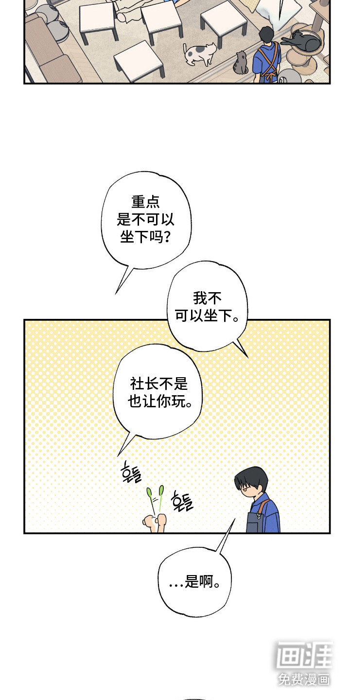 猫大爷和我漫画-图5