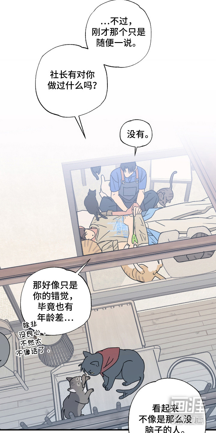 猫大爷和我漫画-图6