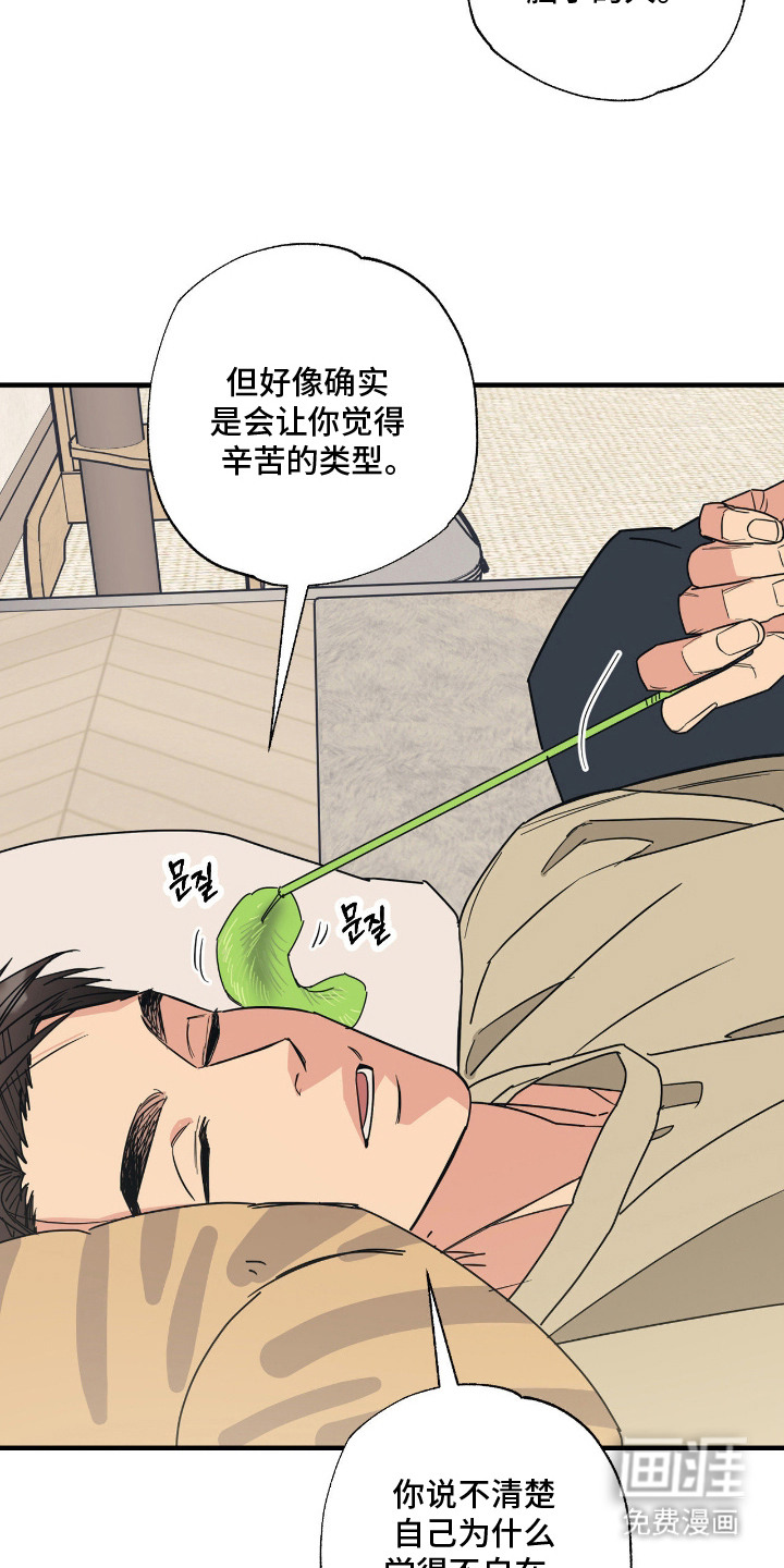 猫大爷和我漫画-图7