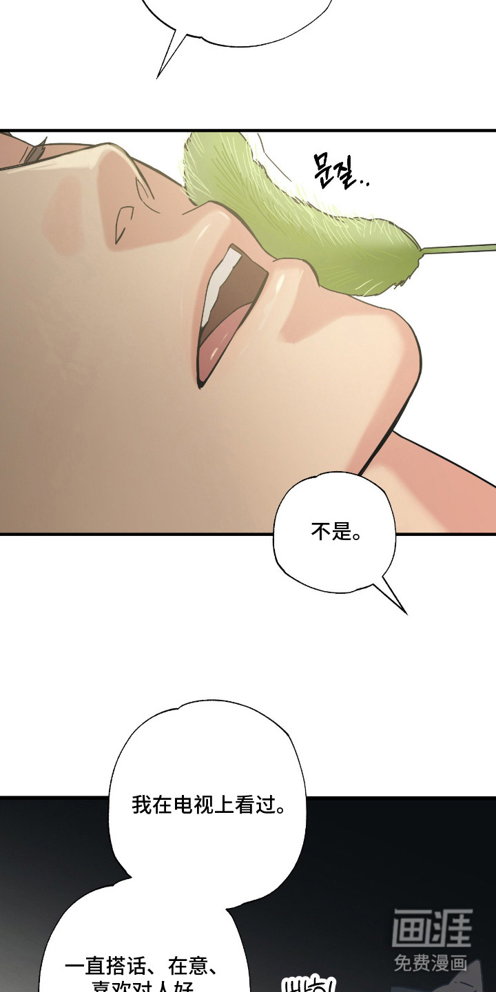 猫大爷和我漫画-图9