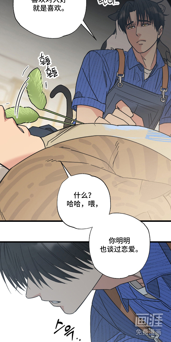 猫大爷和我漫画-图10