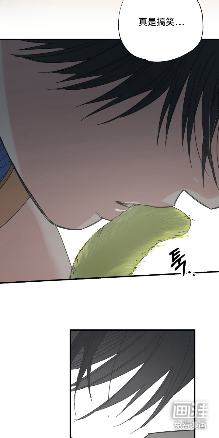 猫大爷和我漫画-图12