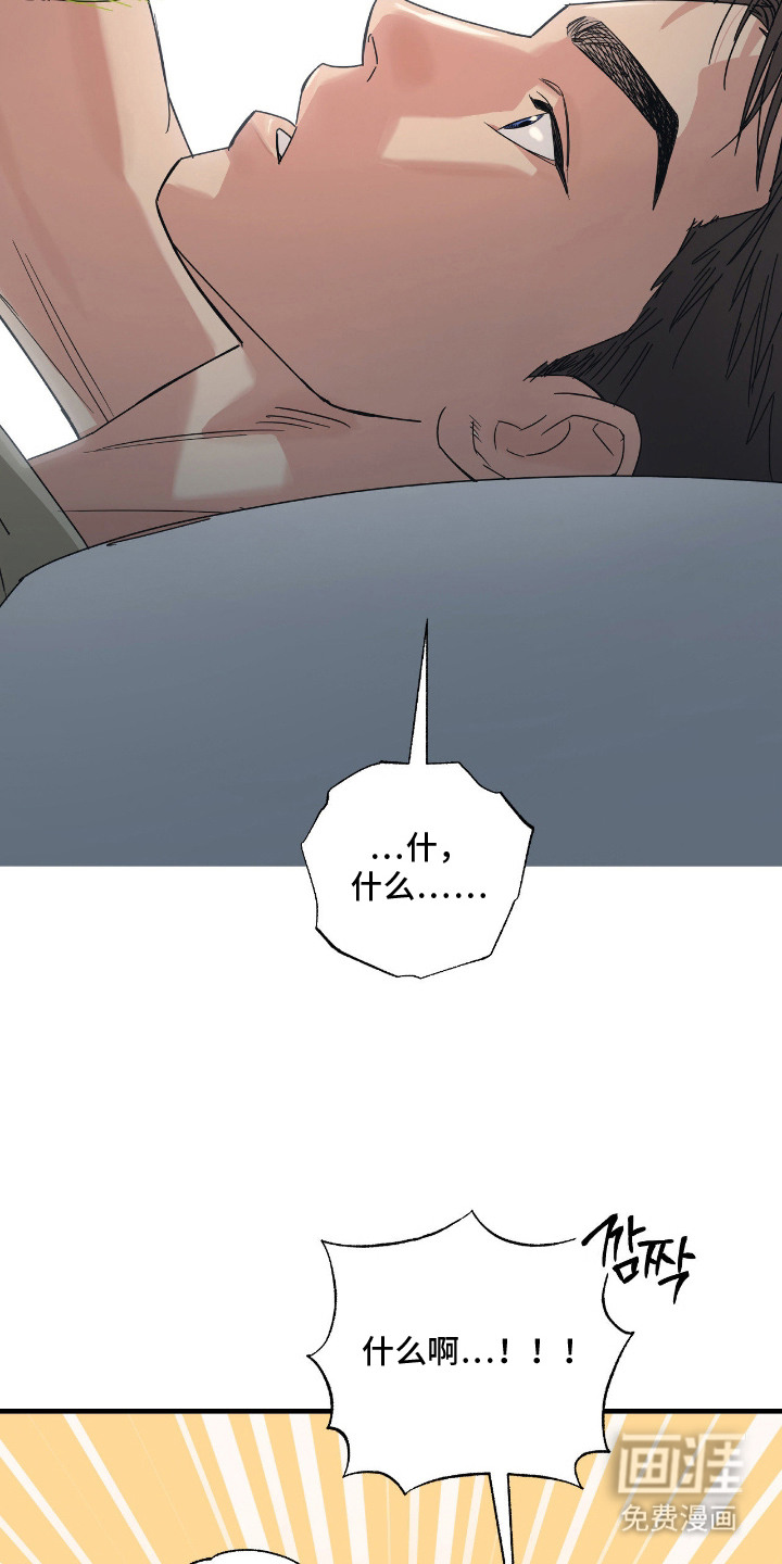 猫大爷和我漫画-图14