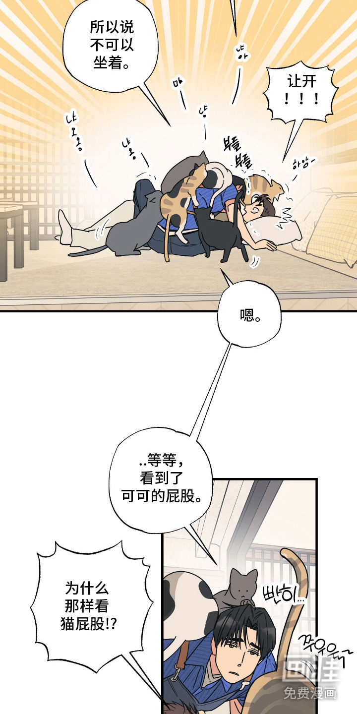 猫大爷和我漫画-图15