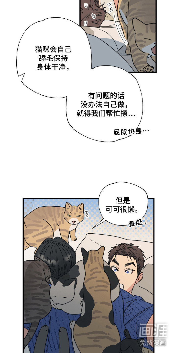猫大爷和我漫画-图16