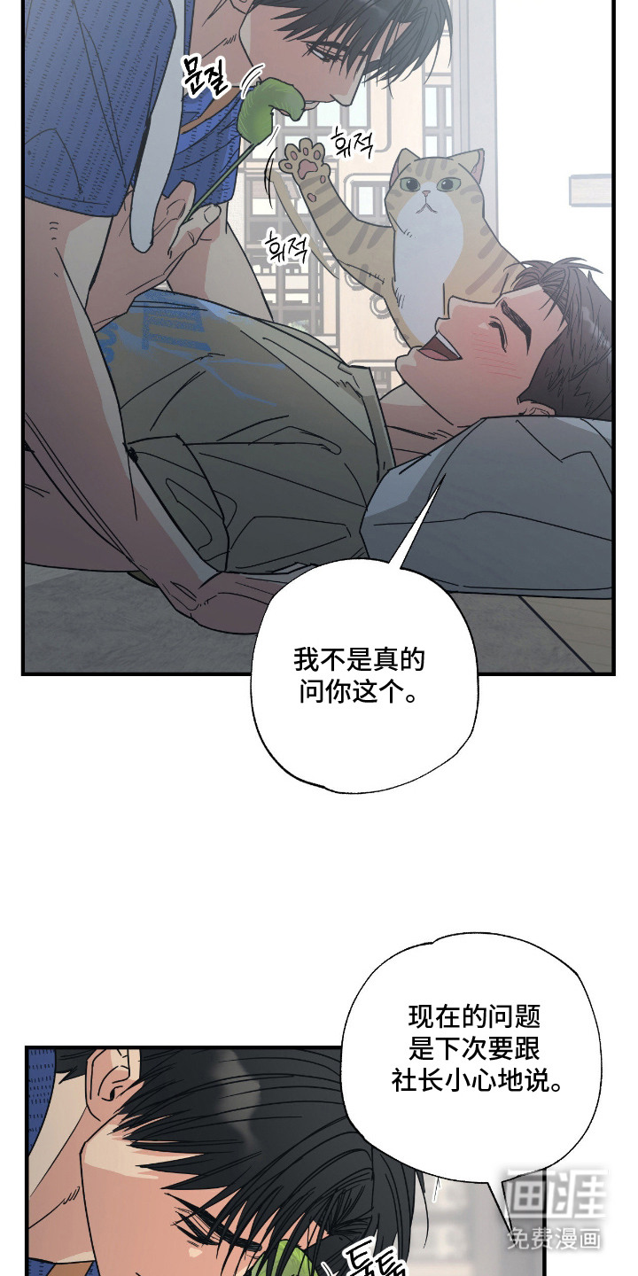 猫大爷和我漫画-图19