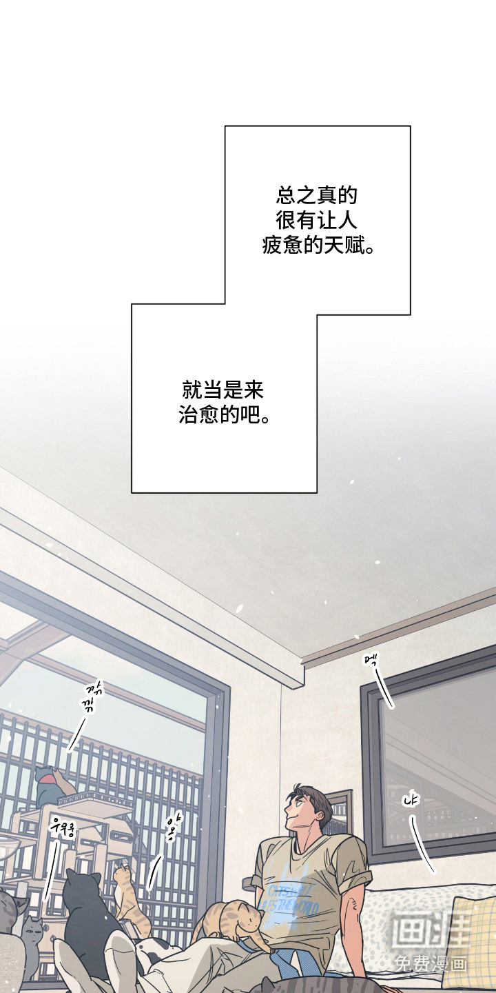 猫大爷和我漫画-图0