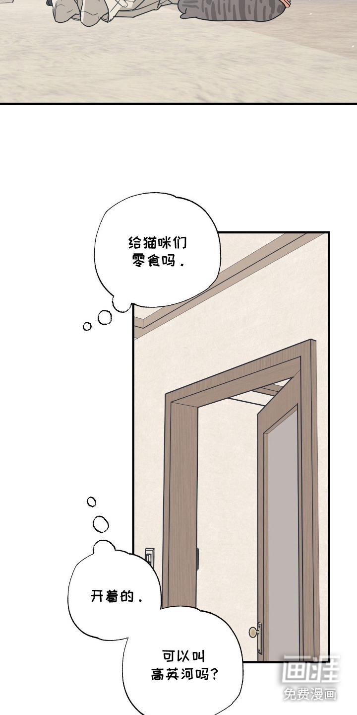 猫大爷和我漫画-图1