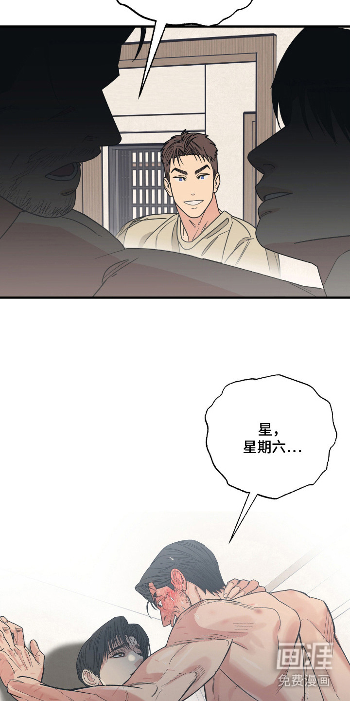 猫大爷和我漫画-图3