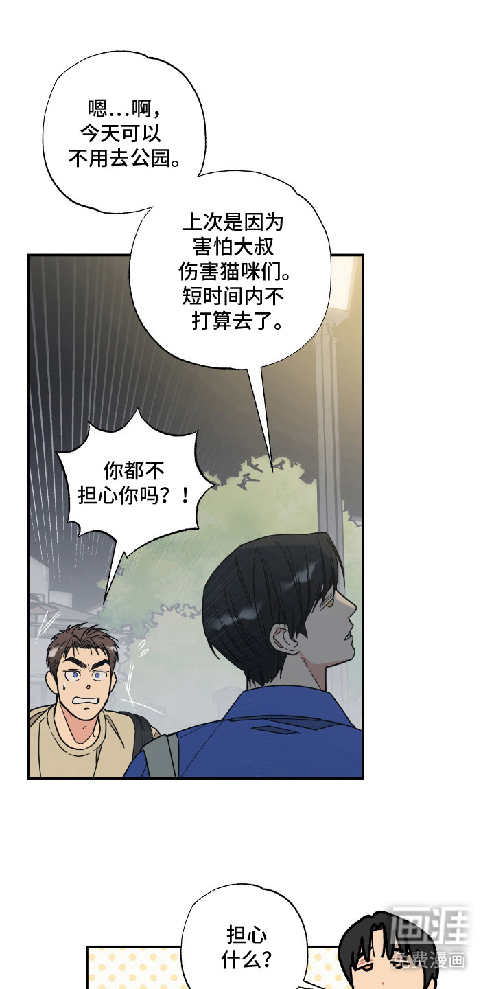 猫大爷和我漫画-图11