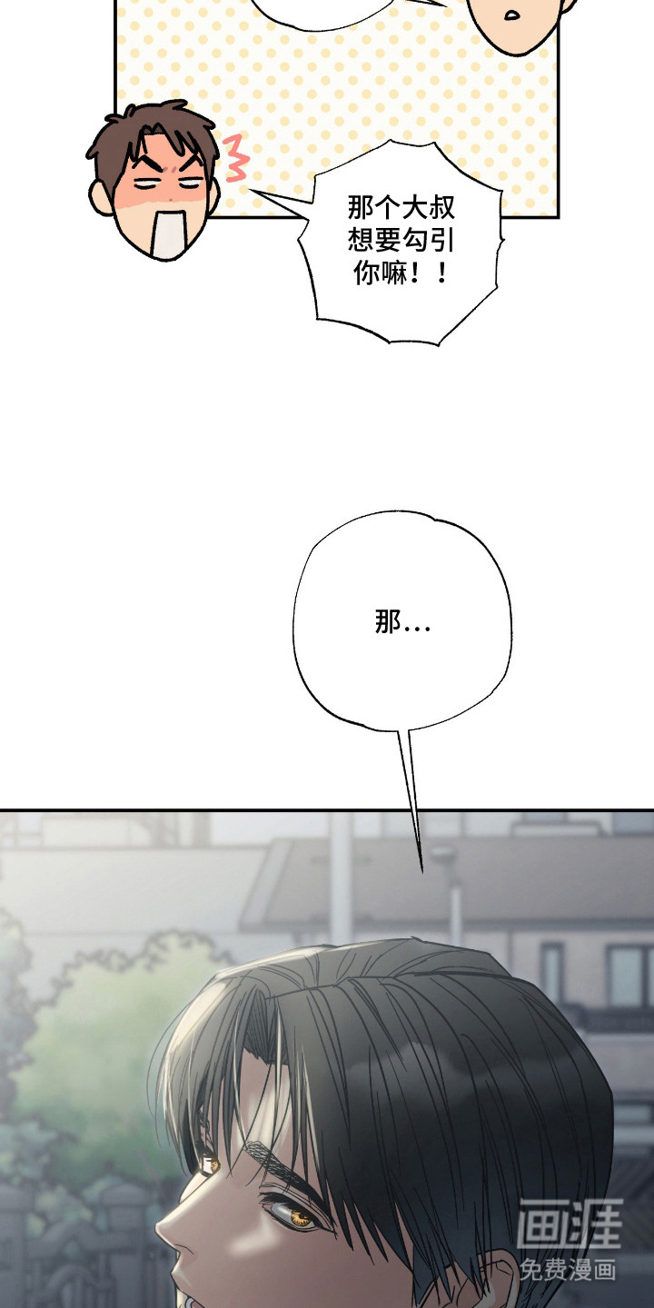 猫大爷和我漫画-图12