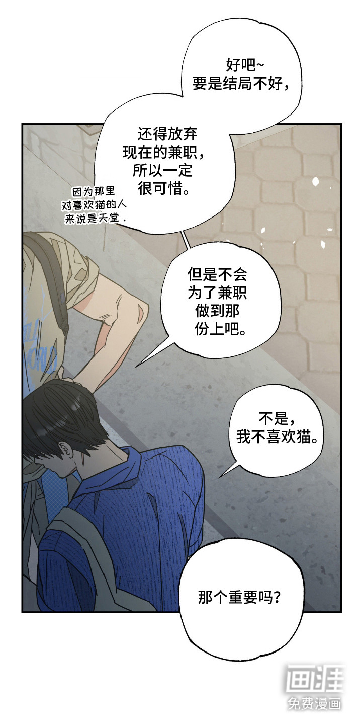 猫大爷和我漫画-图1