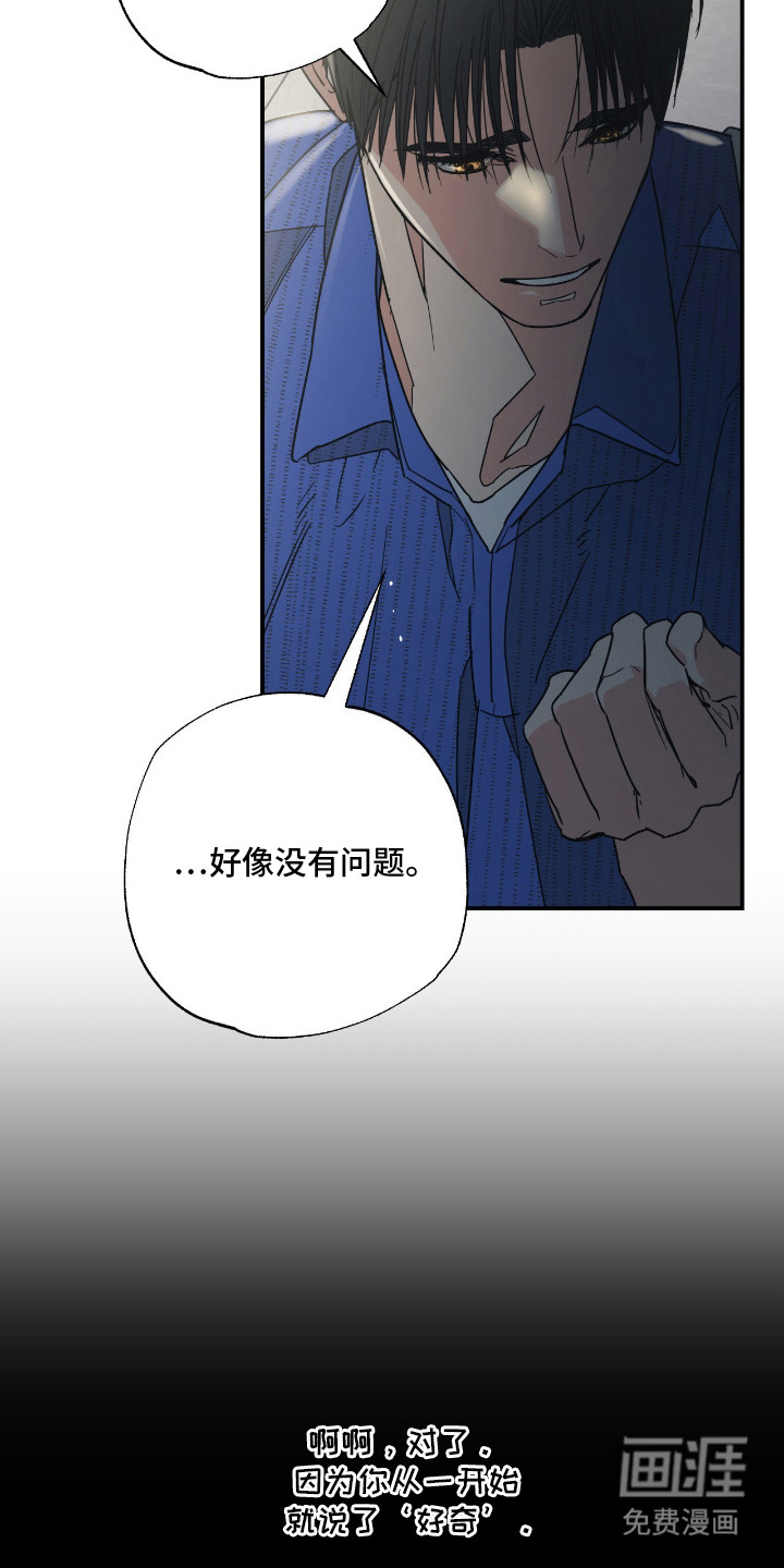 猫大爷和我漫画-图4