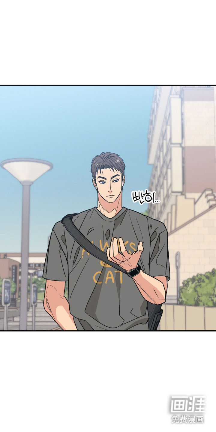 猫大爷和我漫画-图10