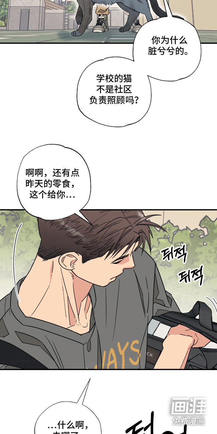 猫大爷和我漫画-图14