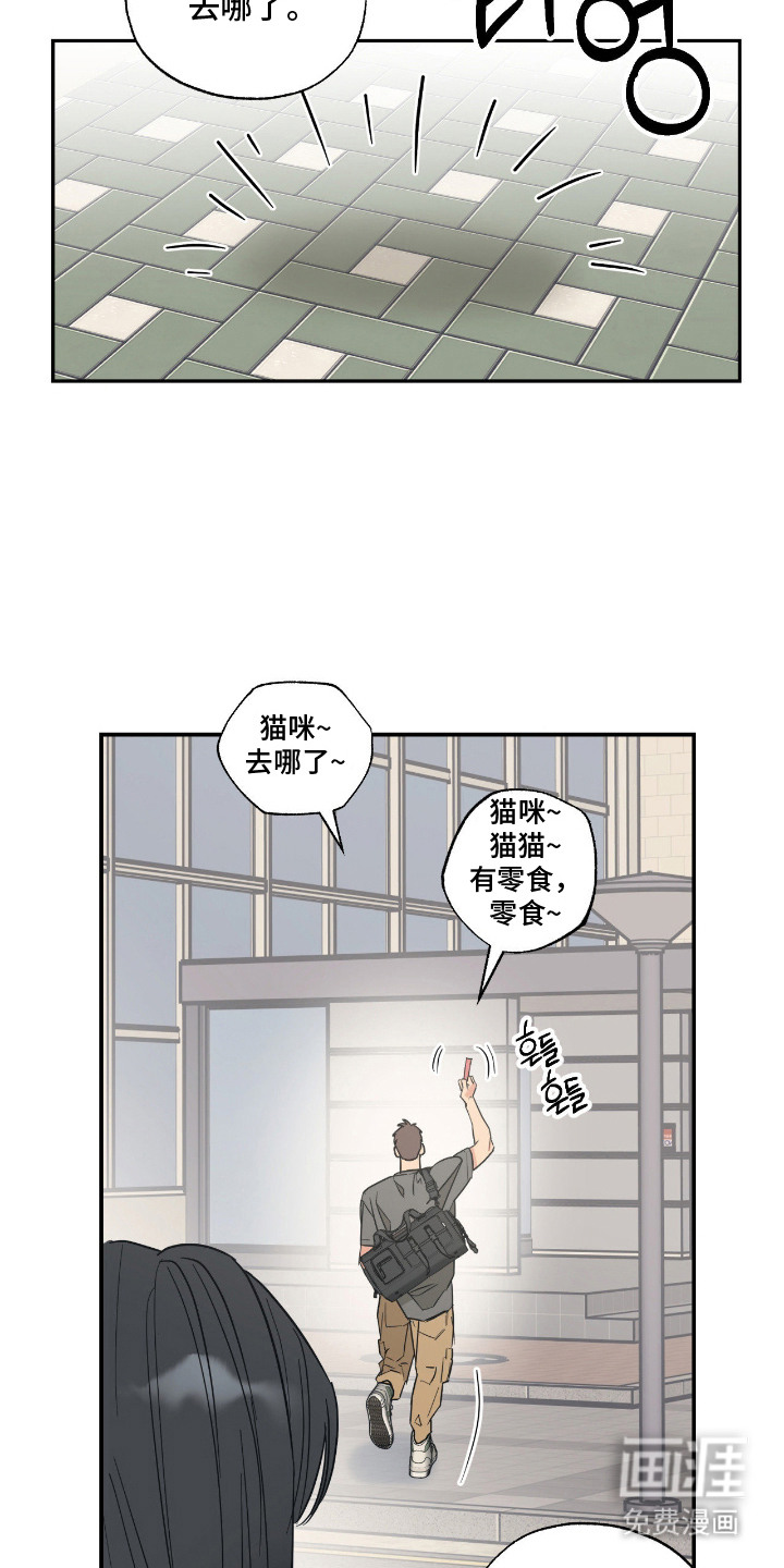 猫大爷和我漫画-图15