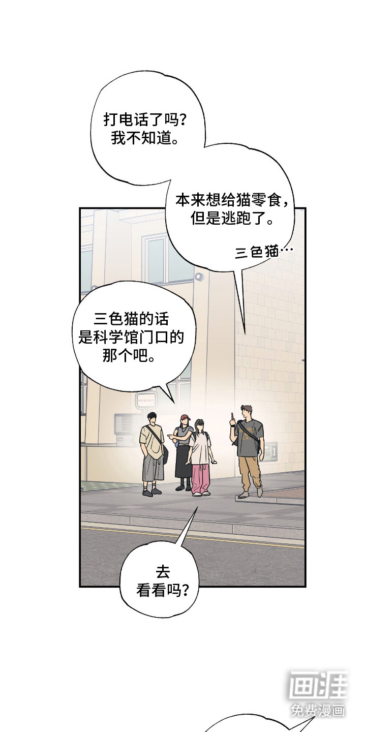 猫大爷和我漫画-图17