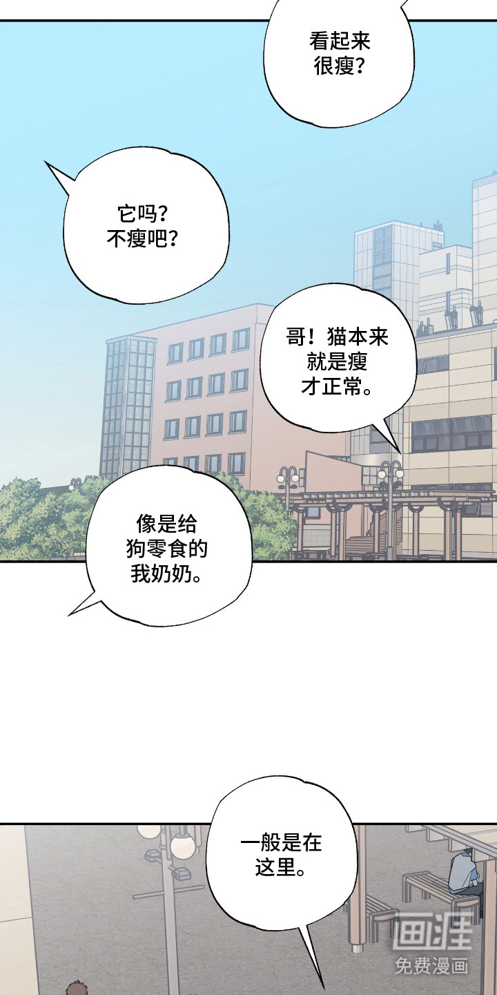 猫大爷和我漫画-图18