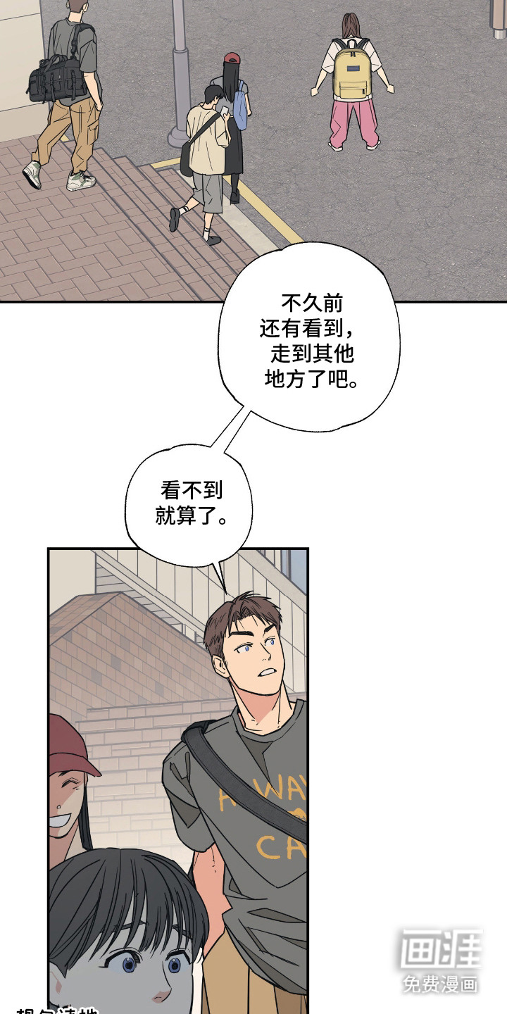 猫大爷和我漫画-图19