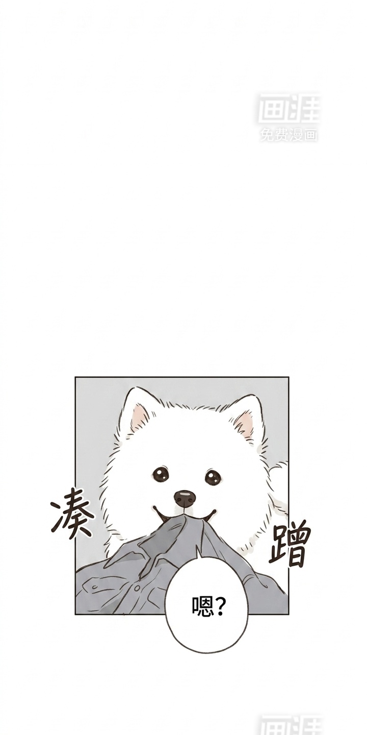 某女高的忧伤日常漫画-图14