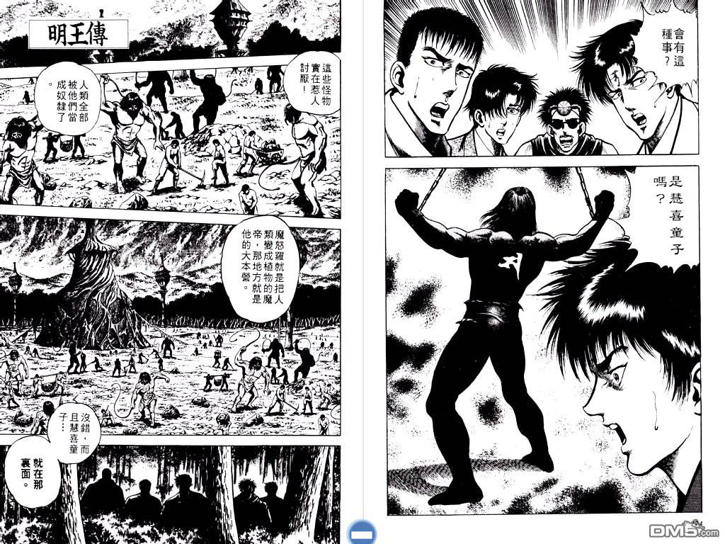 明王传第5卷图