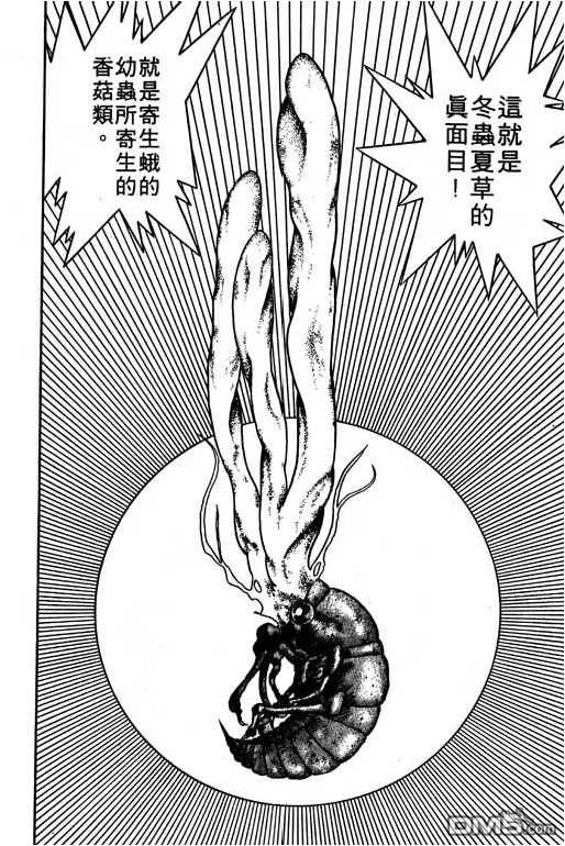 妙手小厨师 第10卷 第82页