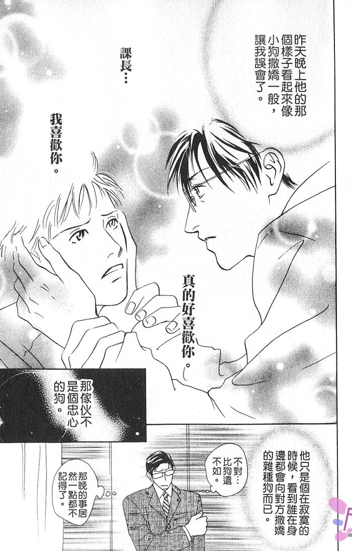 秘书和贴身保镳全一话图