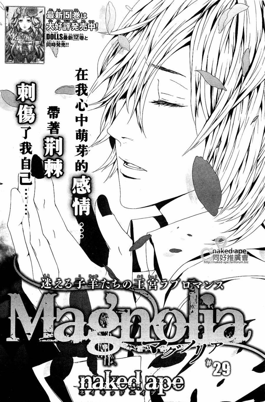 Magnolia第29话图