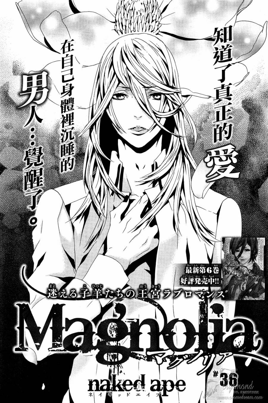 Magnolia第36话图
