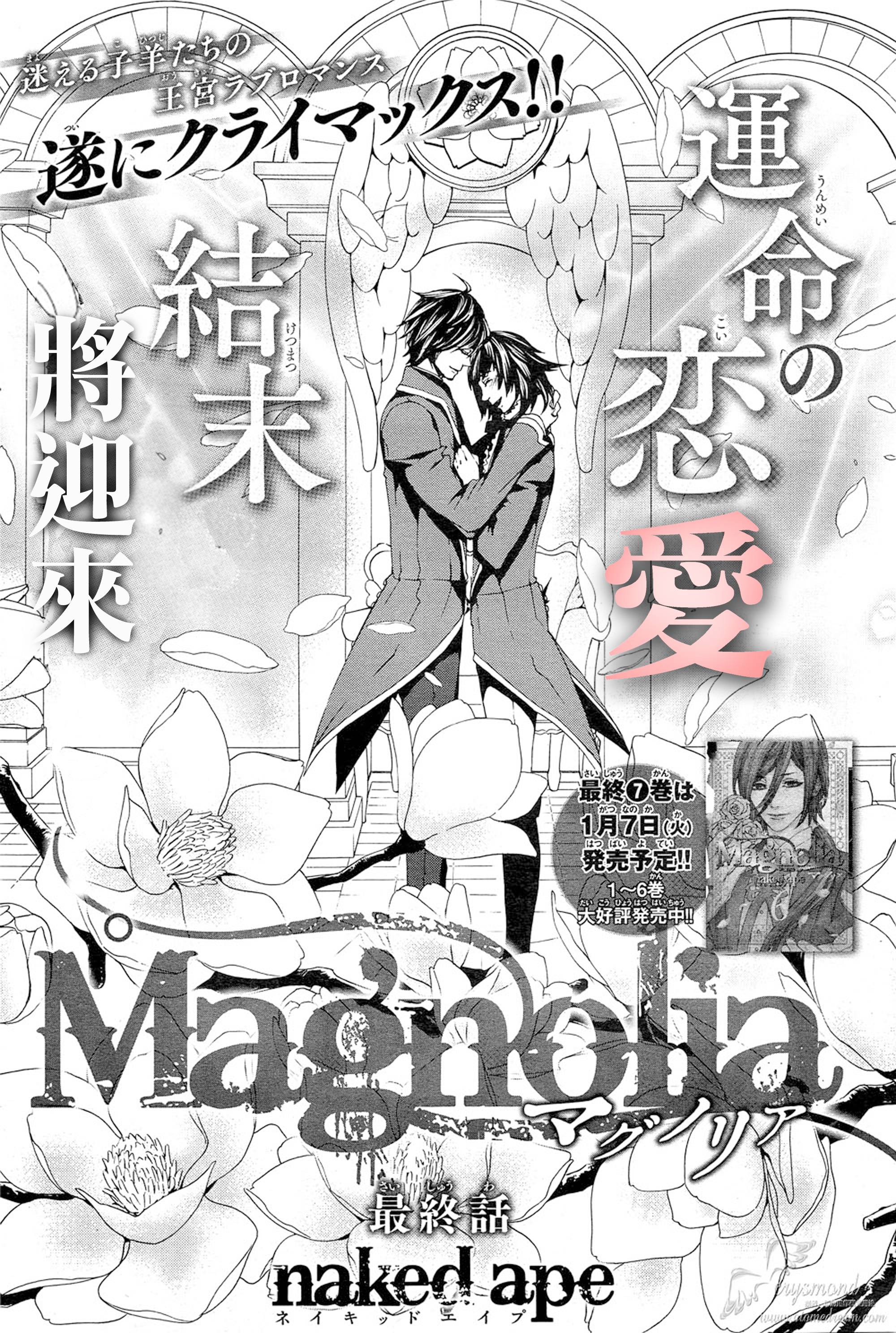 Magnolia第38话图
